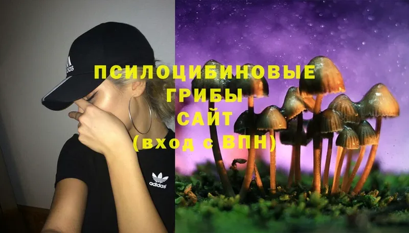 Галлюциногенные грибы Cubensis  что такое   Выкса 